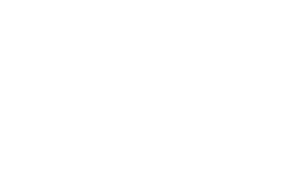 loghi/Dalania__CHALET_white.png