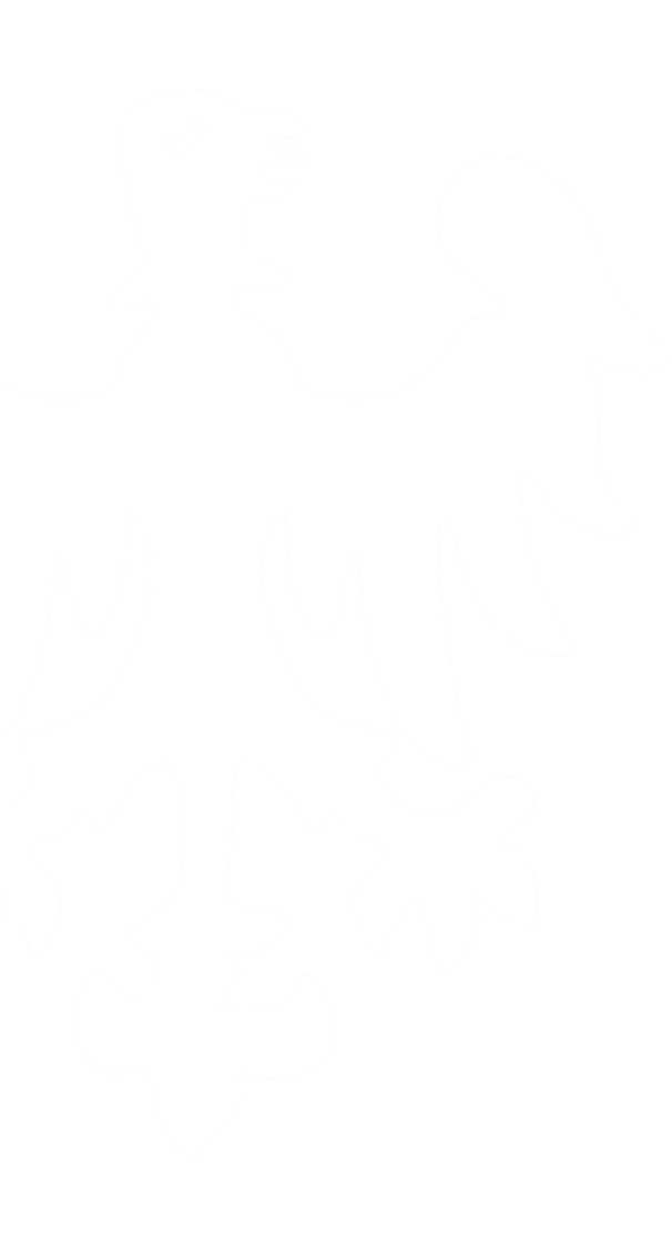 Avio Superficie Ragusa-Giubiliana 11