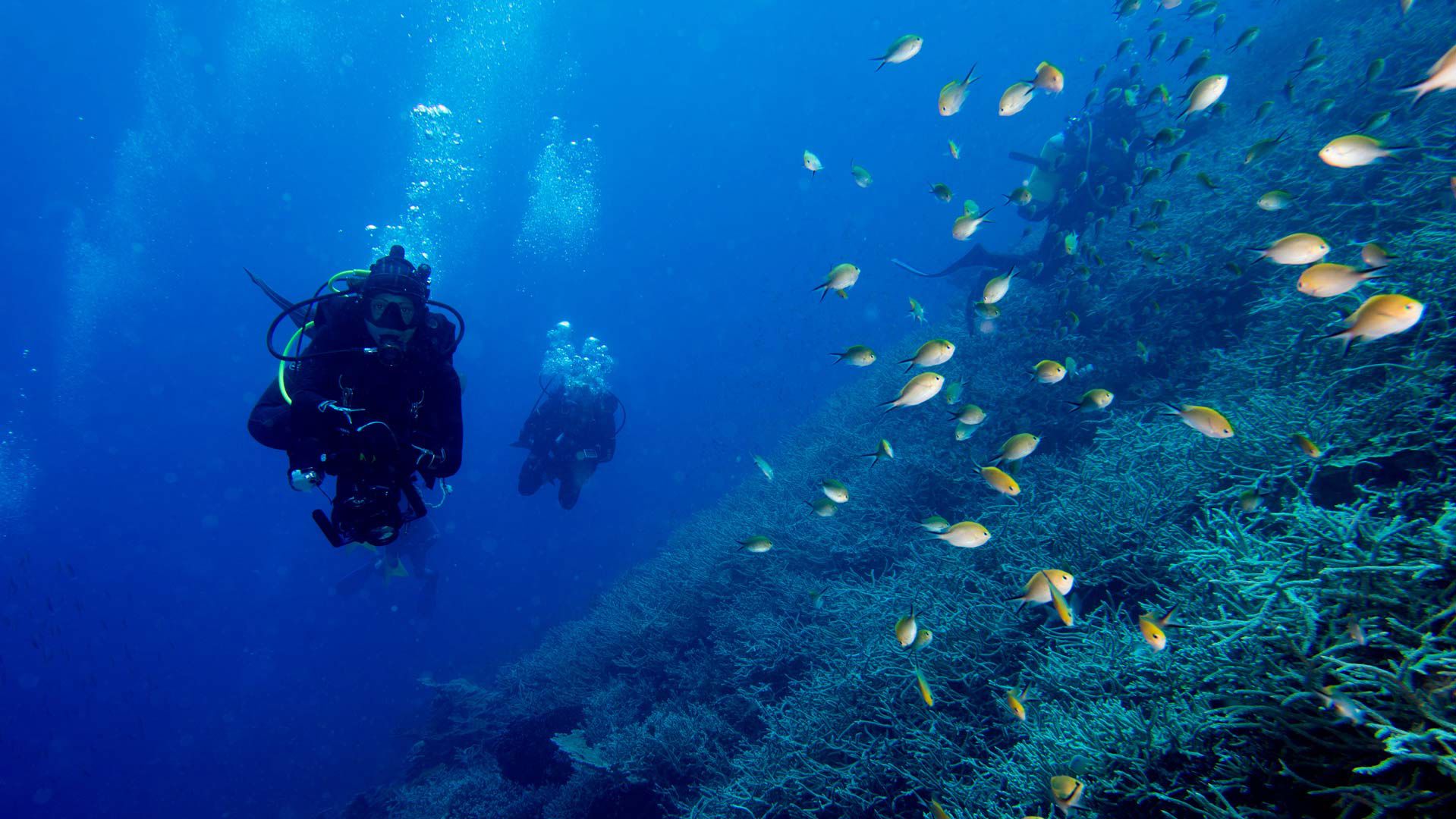 Underwater roman columns 1