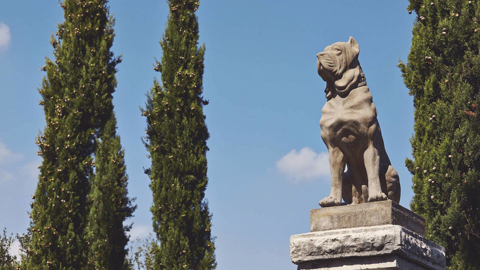 Villa Mangiacane estate 23