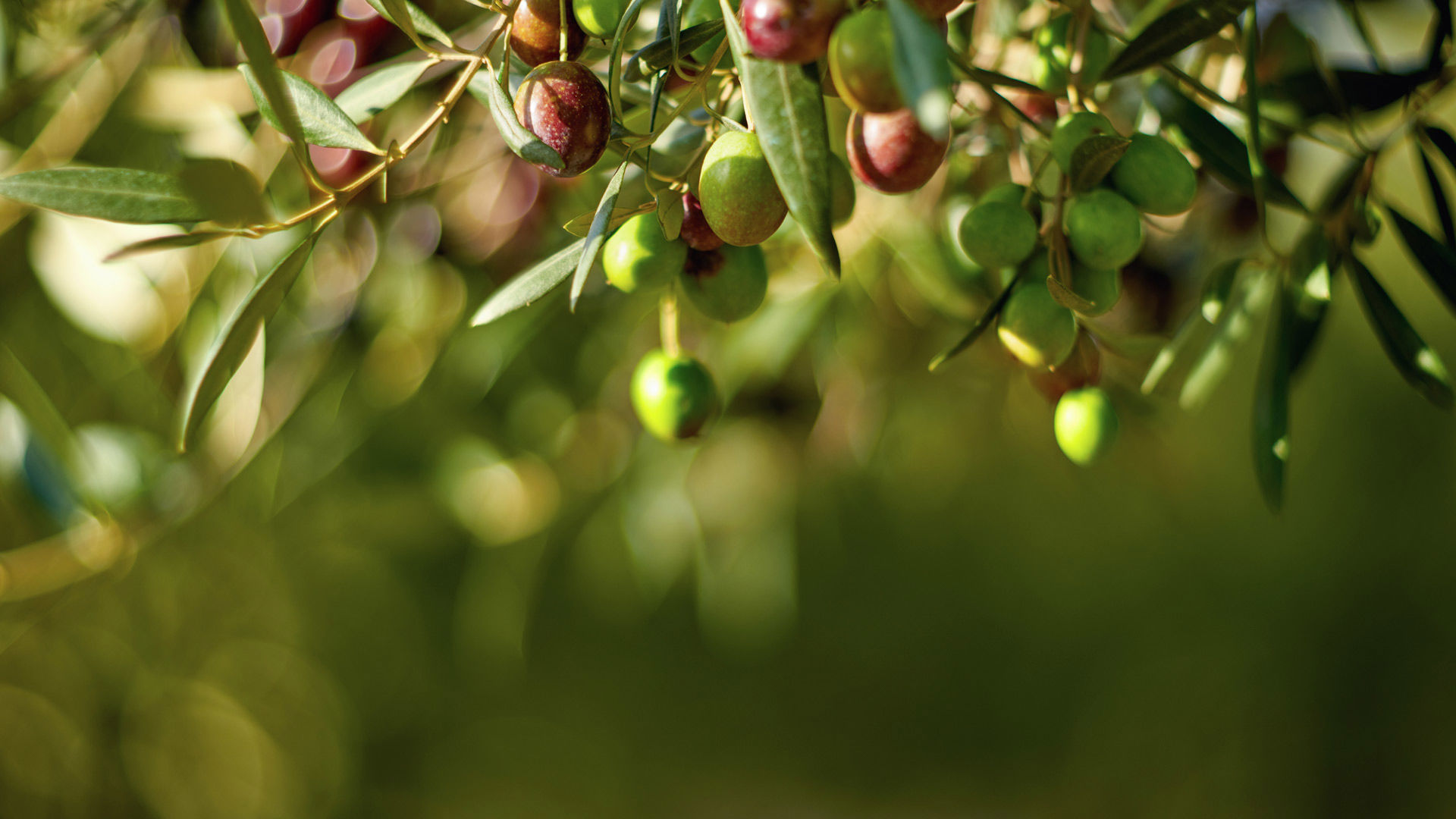 Eremo dei Poeti - Gallery 2