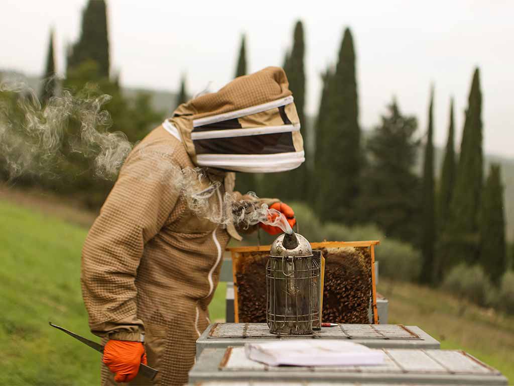 Castello Di Meleto 13