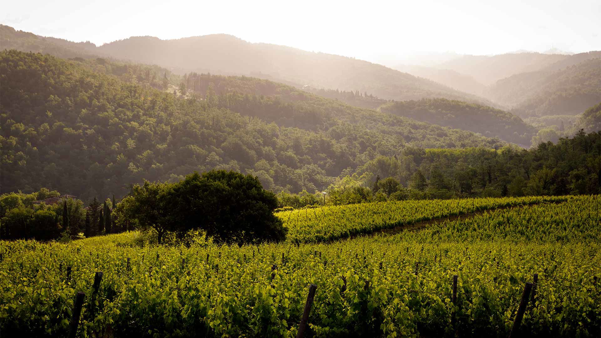 Storie dal Castello 4