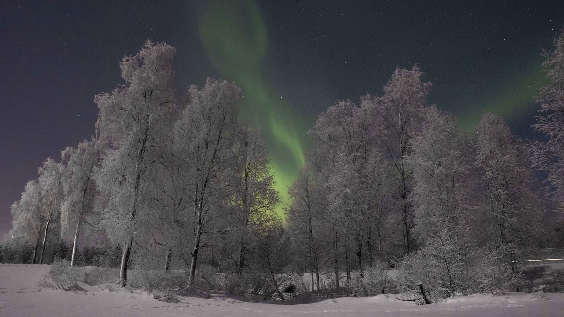 Kongsfjord Artic Lodge - Kongsfjord Arctic Lodge is the perfect stay for anyone looking for a unique experience in the fjords on the Barents Sea 5