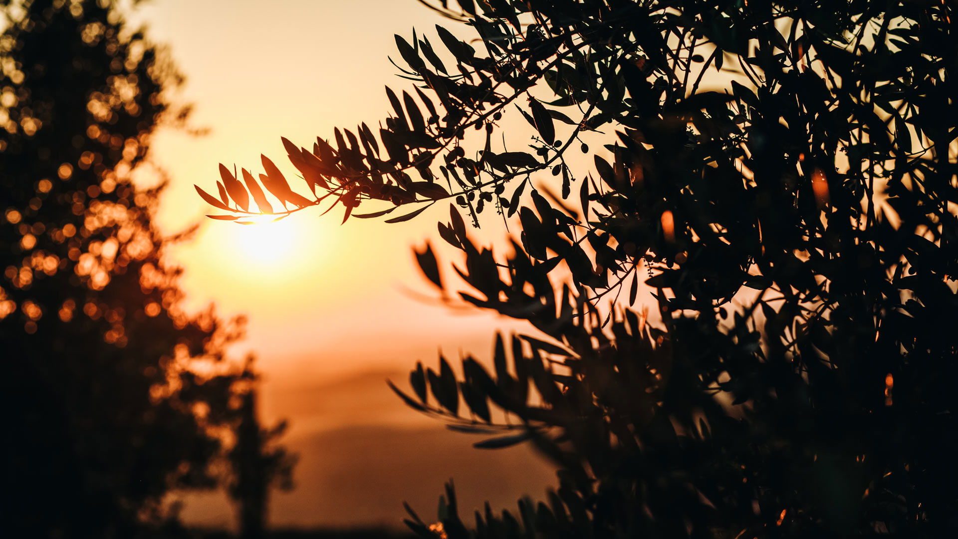 Secolario - EXPERIENCING Secolario 4