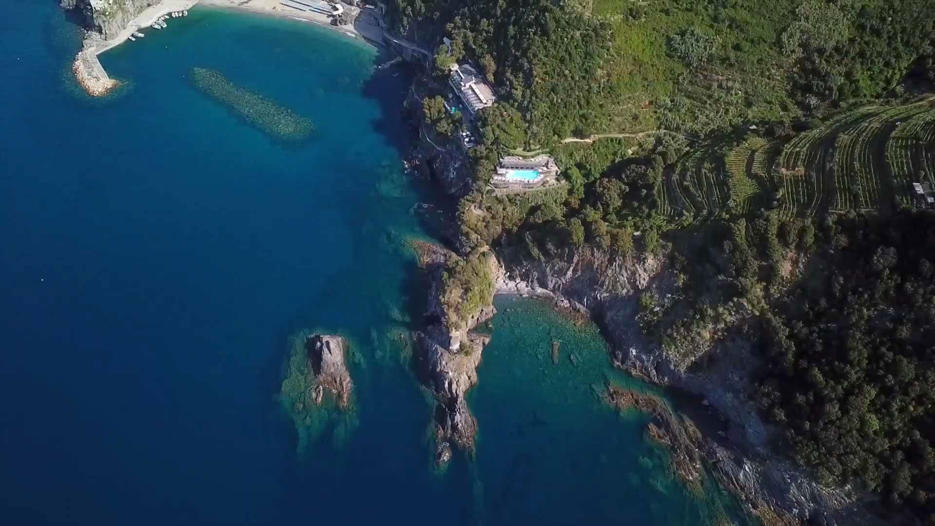 Termini & Condizioni