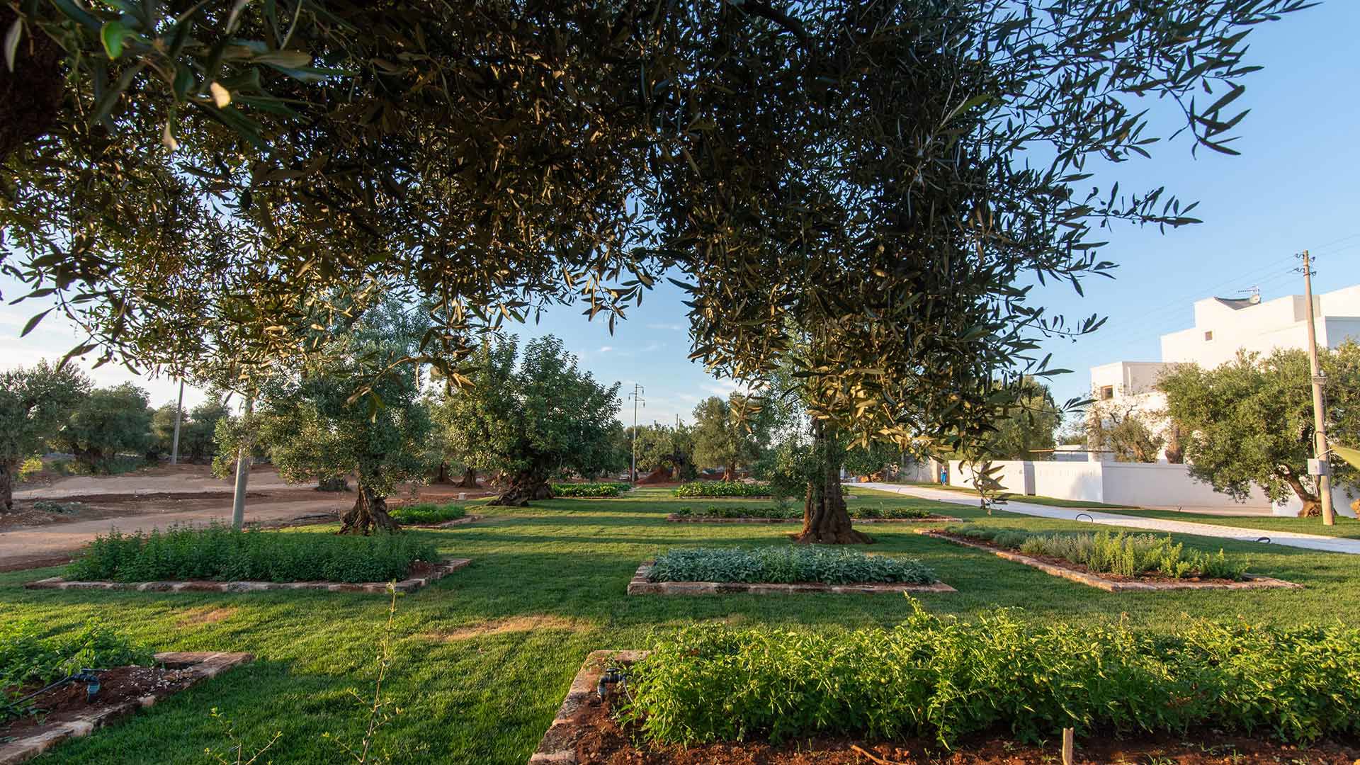 The Vegetable Garden 2