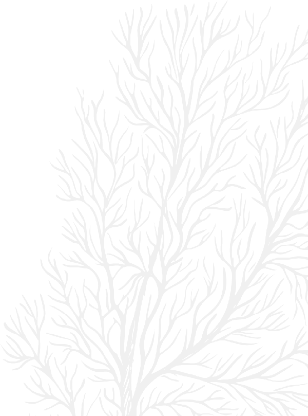 The only and unique 5 Stars 0