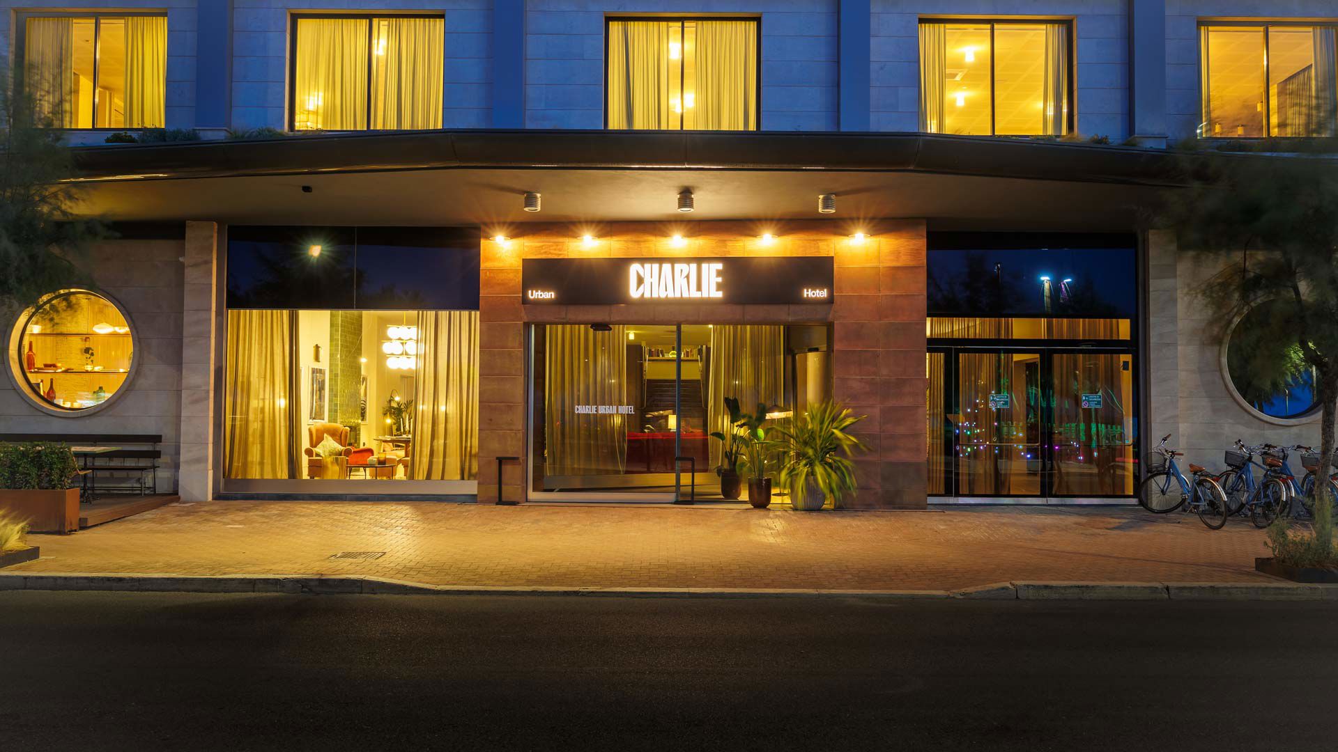 Charlie in Pesaro - Experiences to live in Pesaro 4