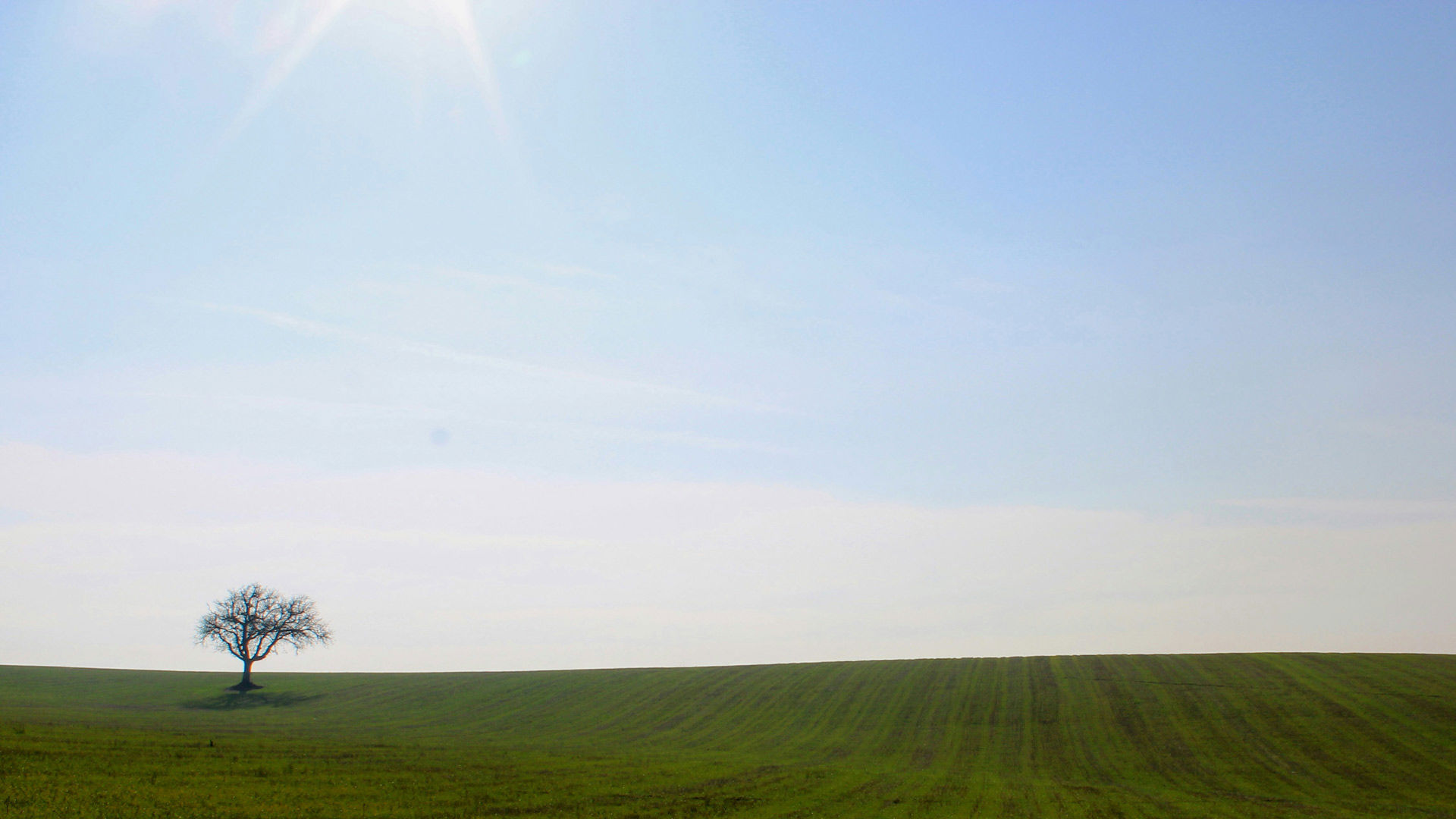 Excelsior Pesaro - Surroundings & Experiences 6