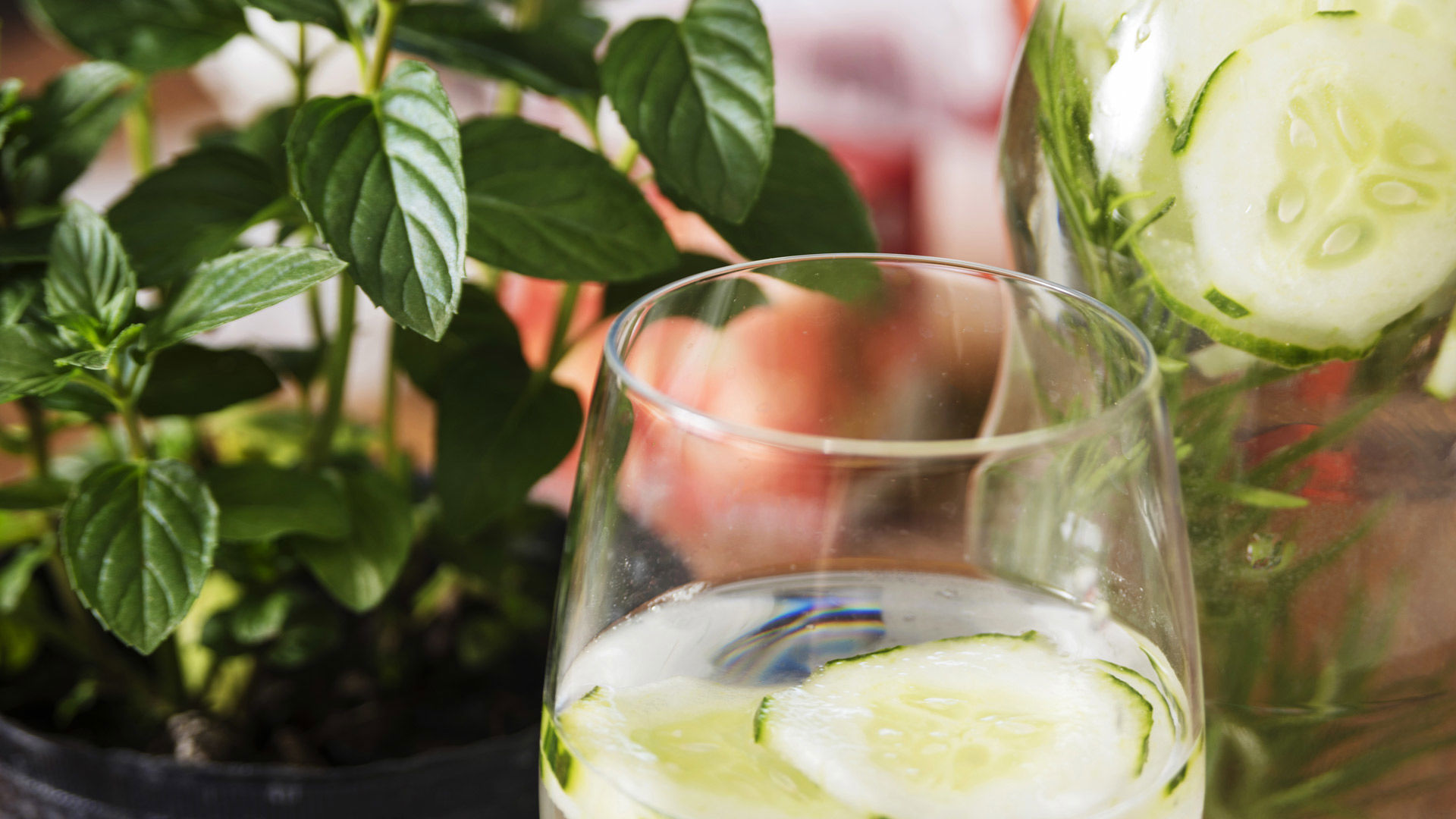 The Cross Terraces 13