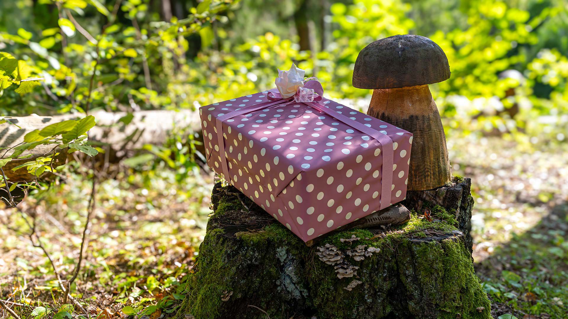 Esperienze romantiche 1