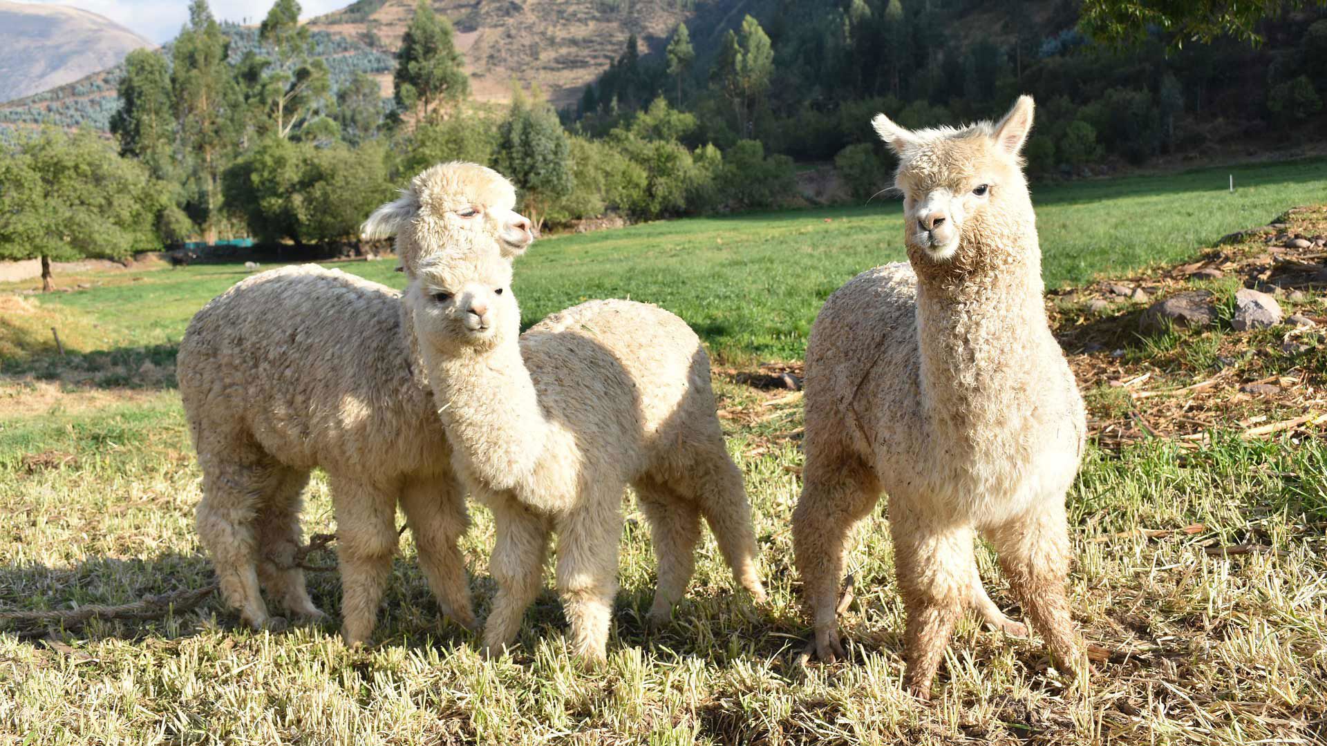 Esperienze romantiche 1