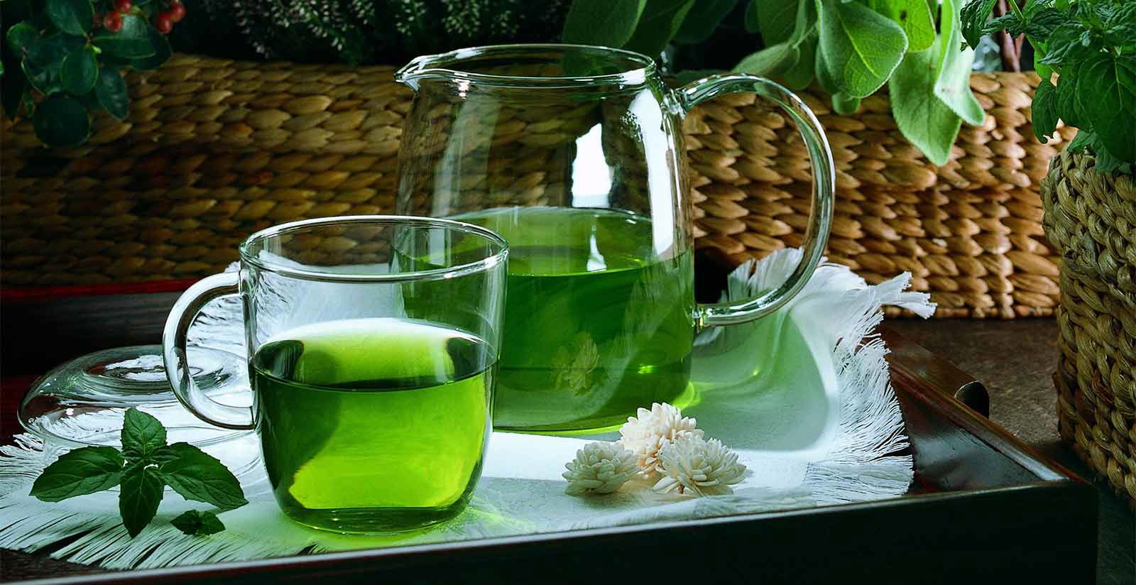 Soggiorni Mességué 11