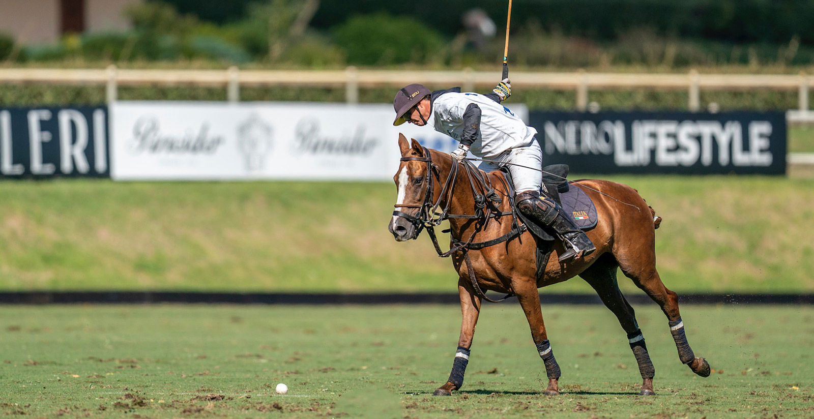 VAS Gold Cup 2020 evento