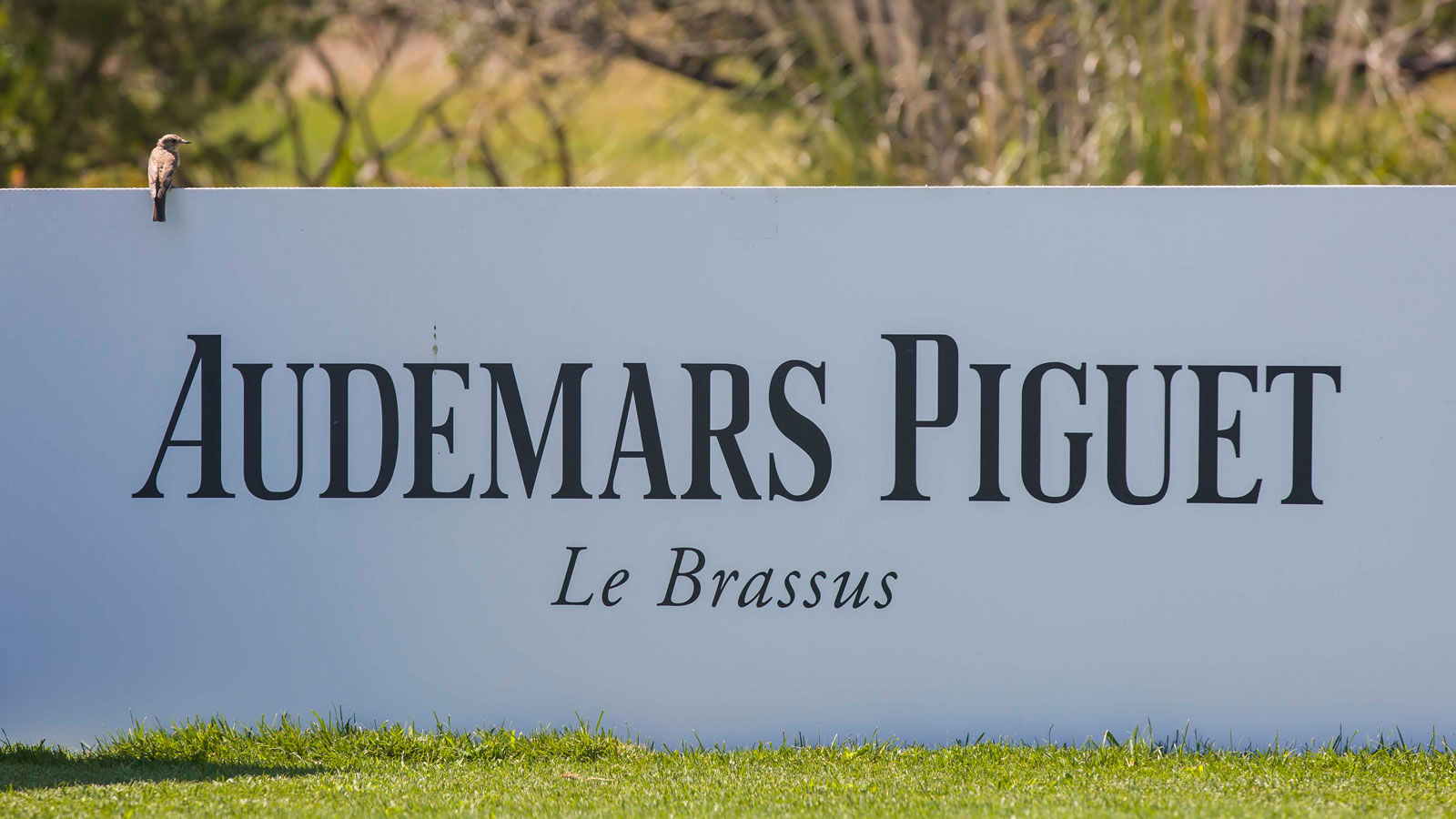 Audemars Piguet Golf Trophy