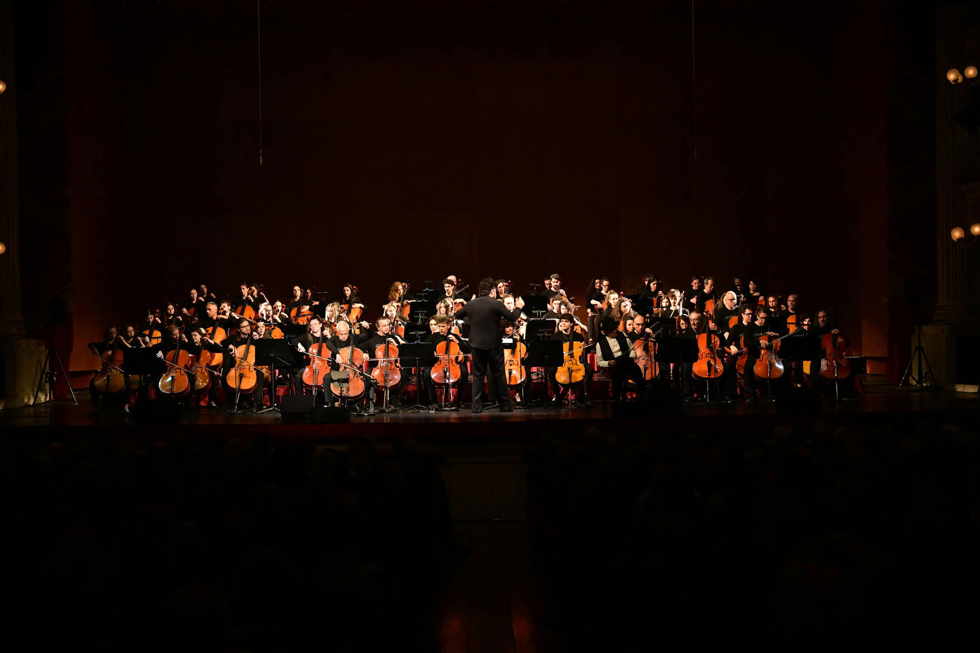 Fondazione Francesca Rava