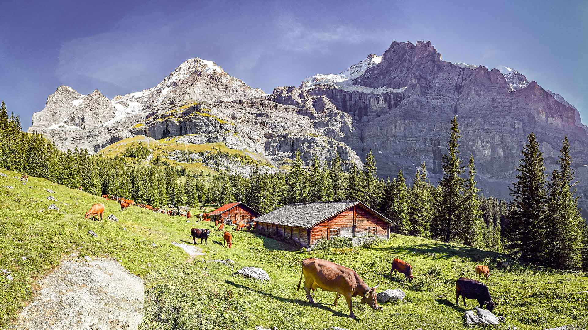 Hotel Regina - WILLKOMMEN IM HOTEL REGINA 2