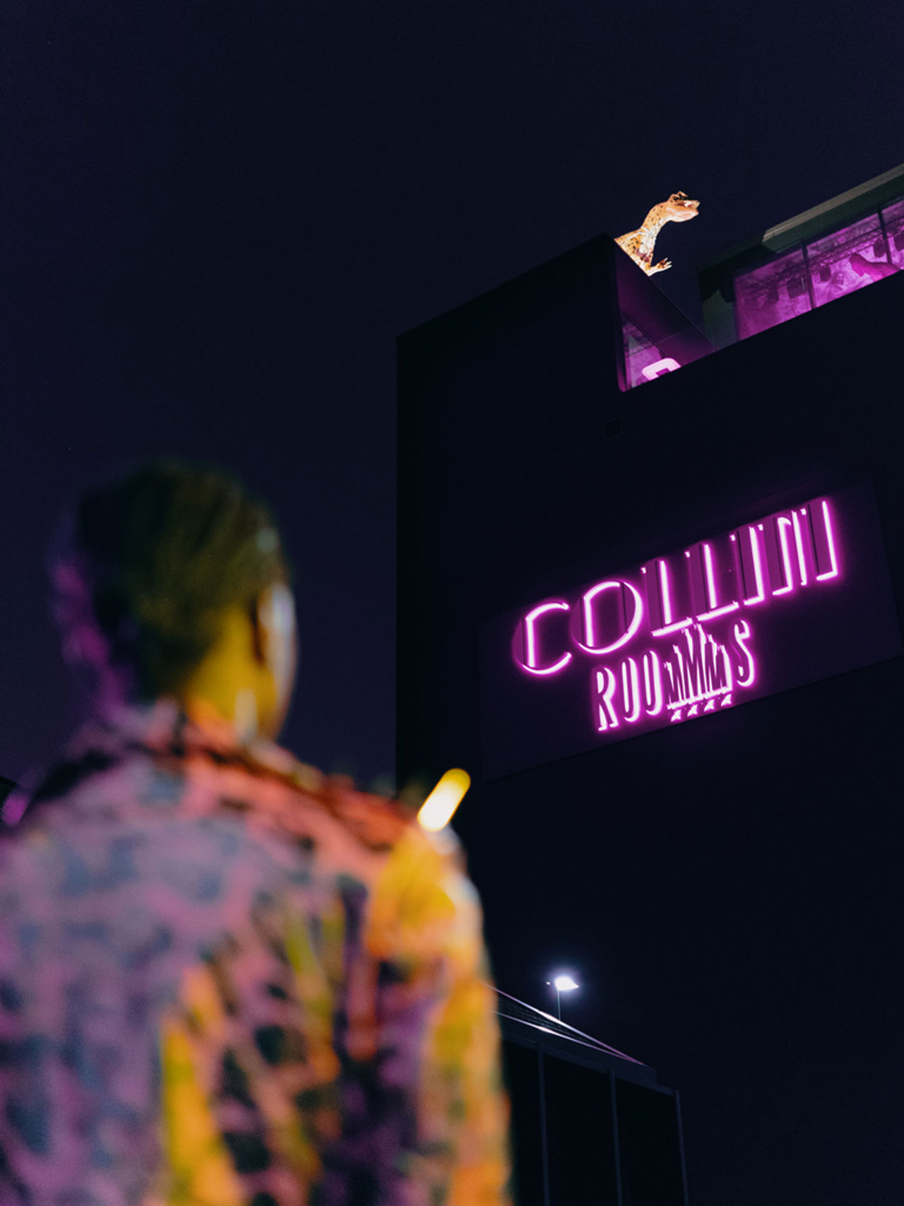 (c) Collinirooms.it