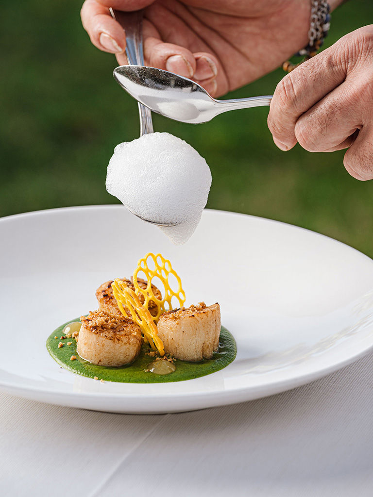 Le Palme 8 Le Palme 8