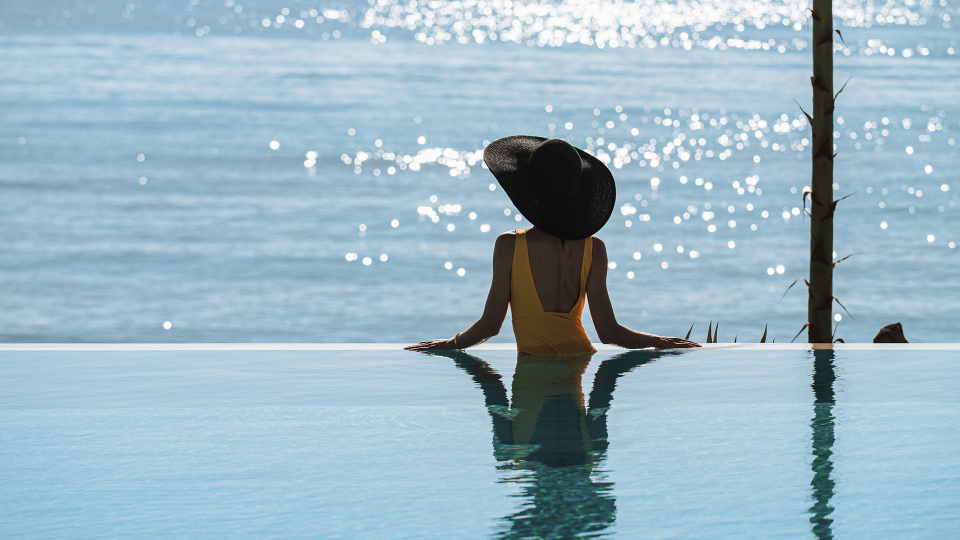 Infinity Pool 12 Infinity Pool 12