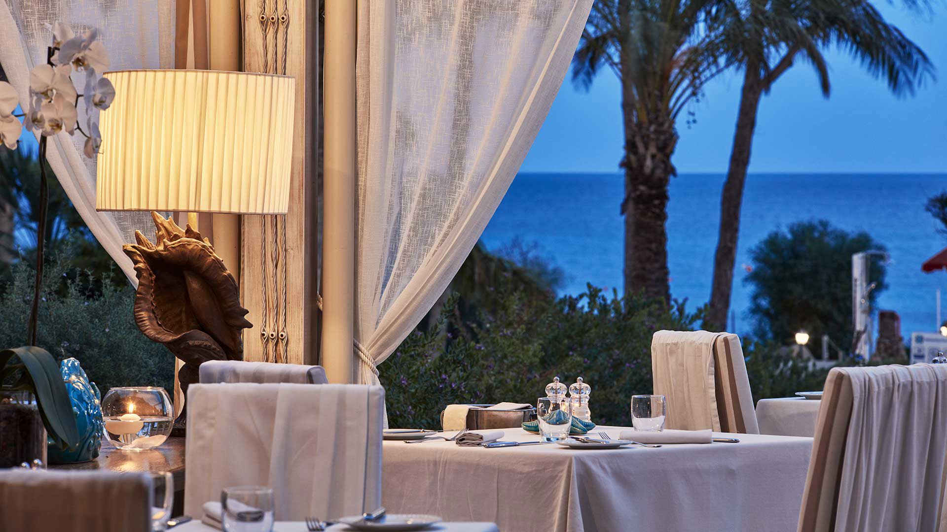 Le Palme 7 Le Palme 7