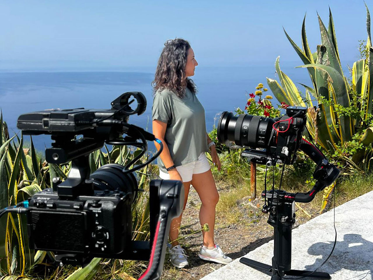 Un mare di like e condivisioni 4 Un mare di like e condivisioni 4