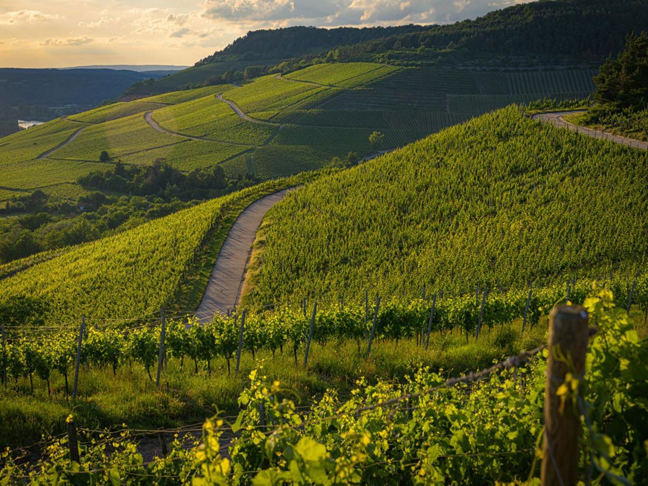 Esperienze 7 Esperienze 7