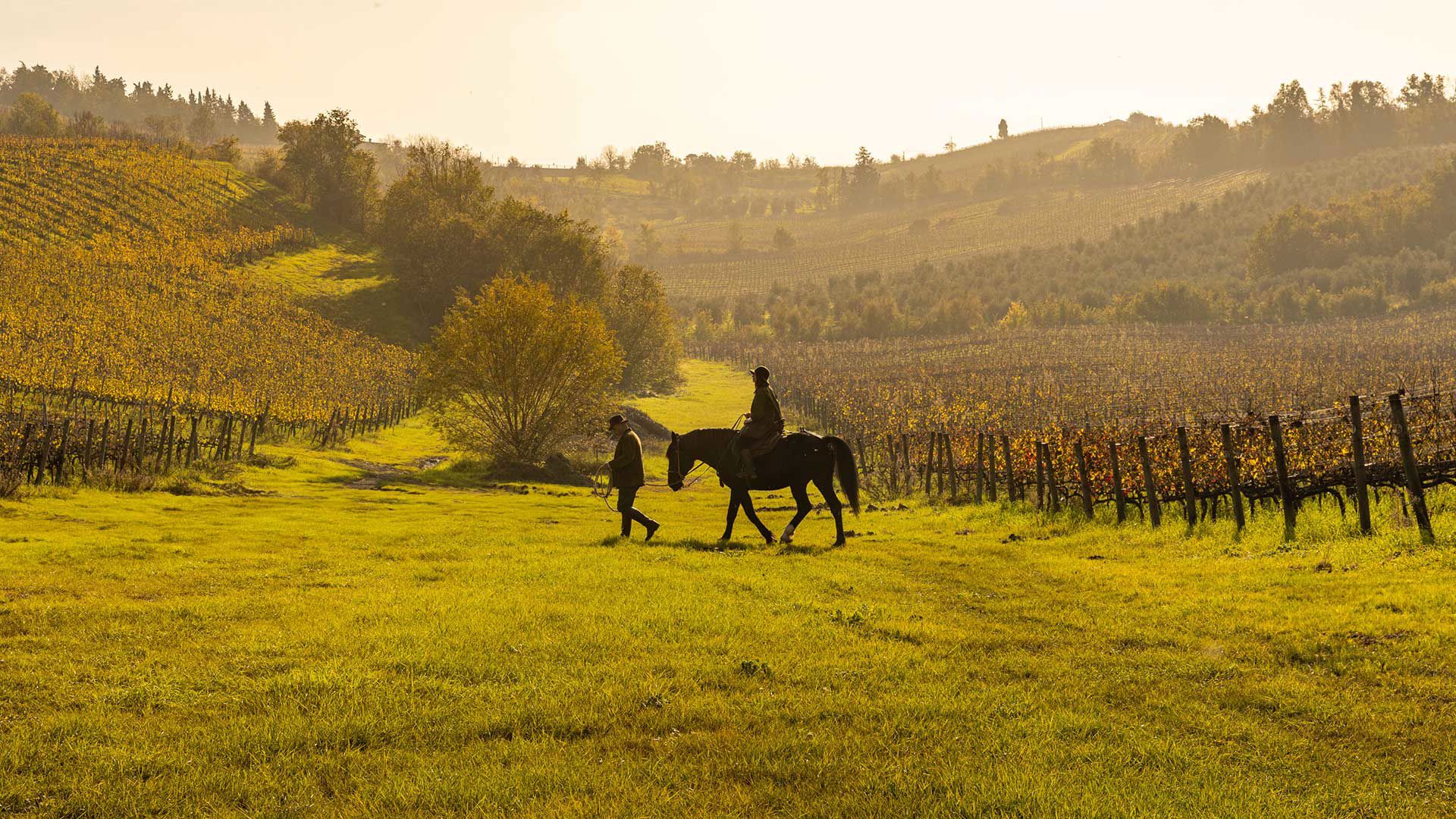 Borgo Condé Wine Resort 1