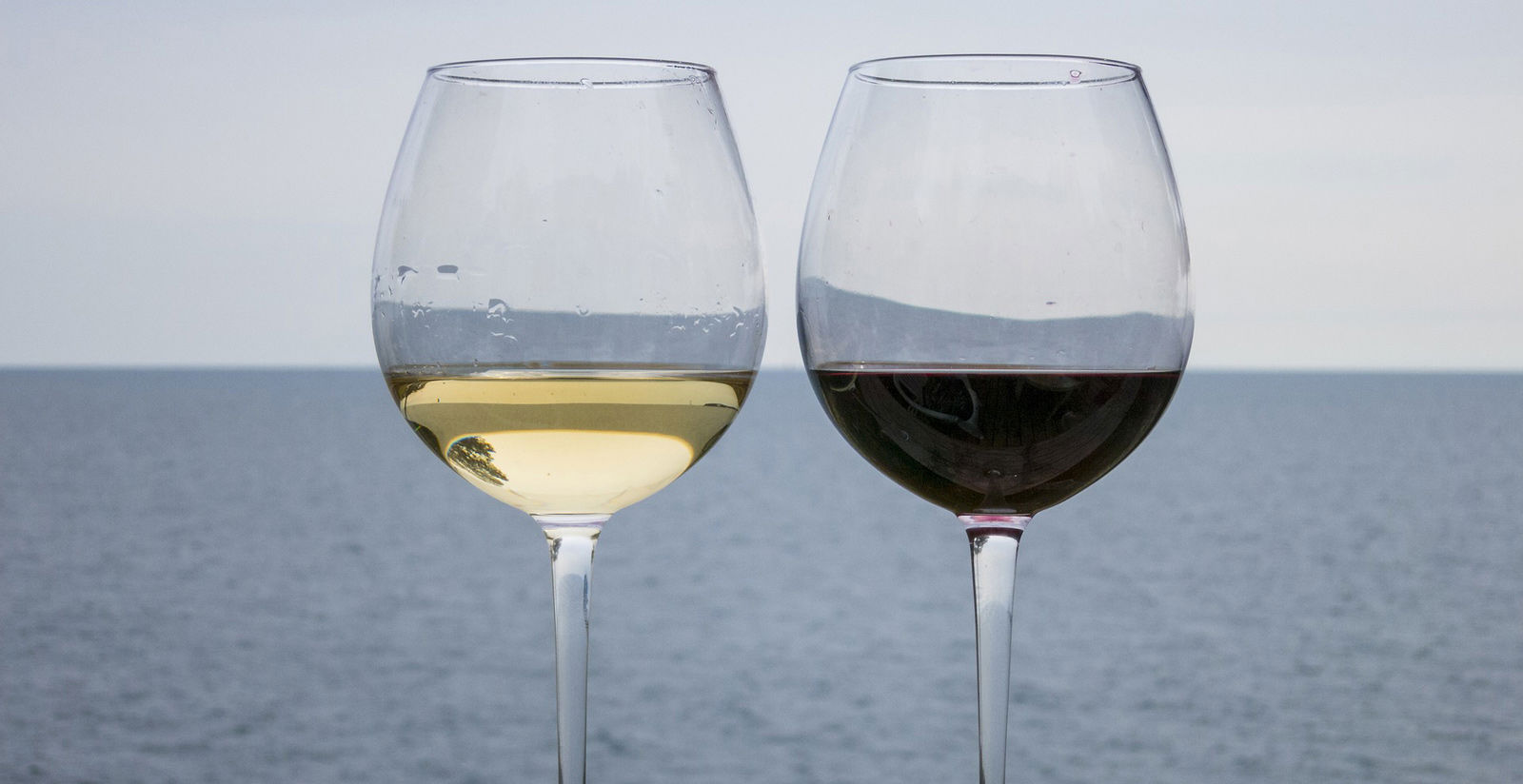 Винная карта 4