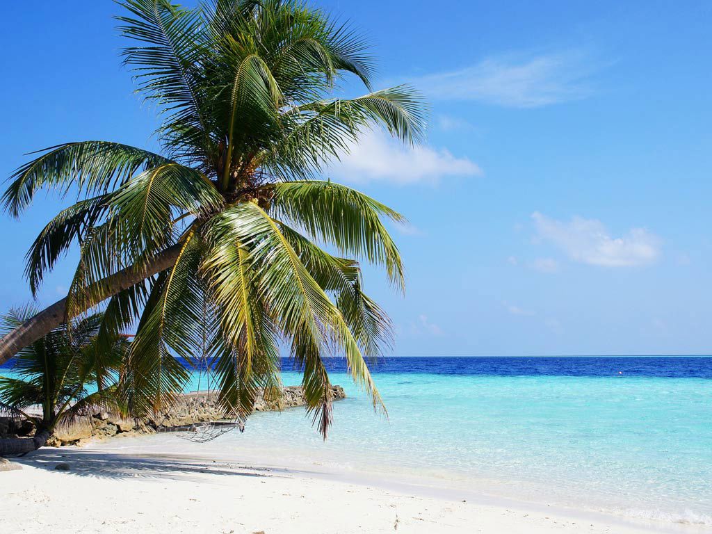 Perché pensare ad un Resort quando si vogliono visitare le Maldive? 4