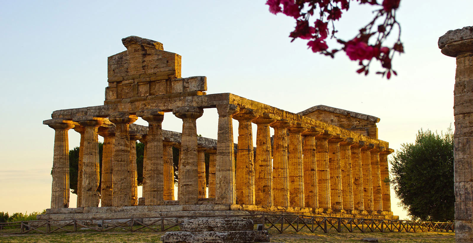 Paestum 2