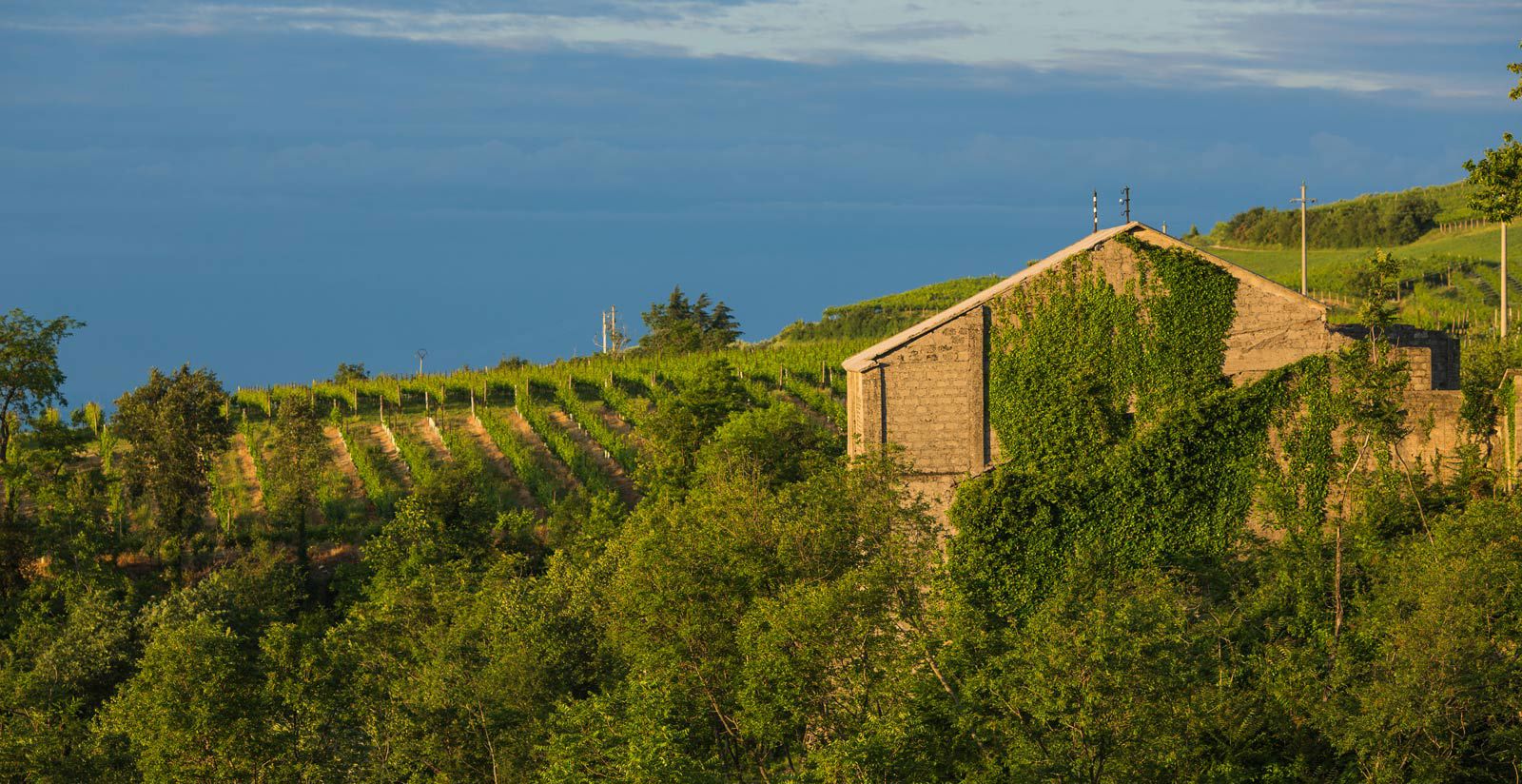 Il tuo soggiorno a Magari Estates come fuga da tutto 7