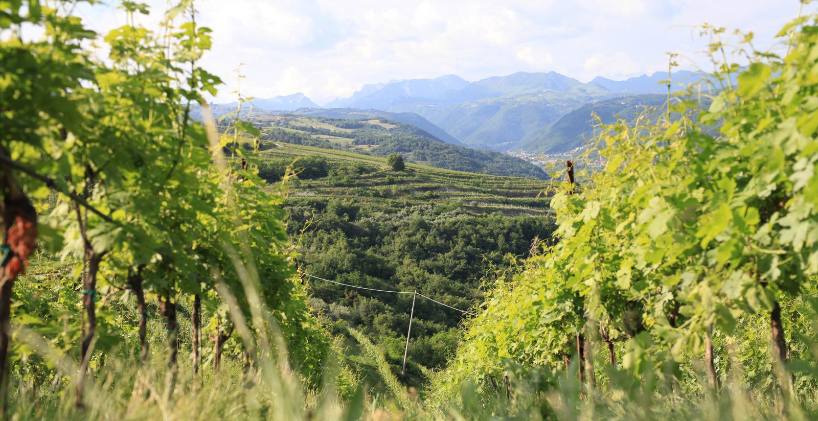 Il tuo soggiorno a Magari Estates come fuga da tutto 8