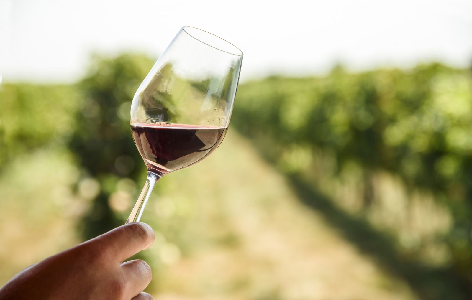 I mesi del vino in Toscana 2