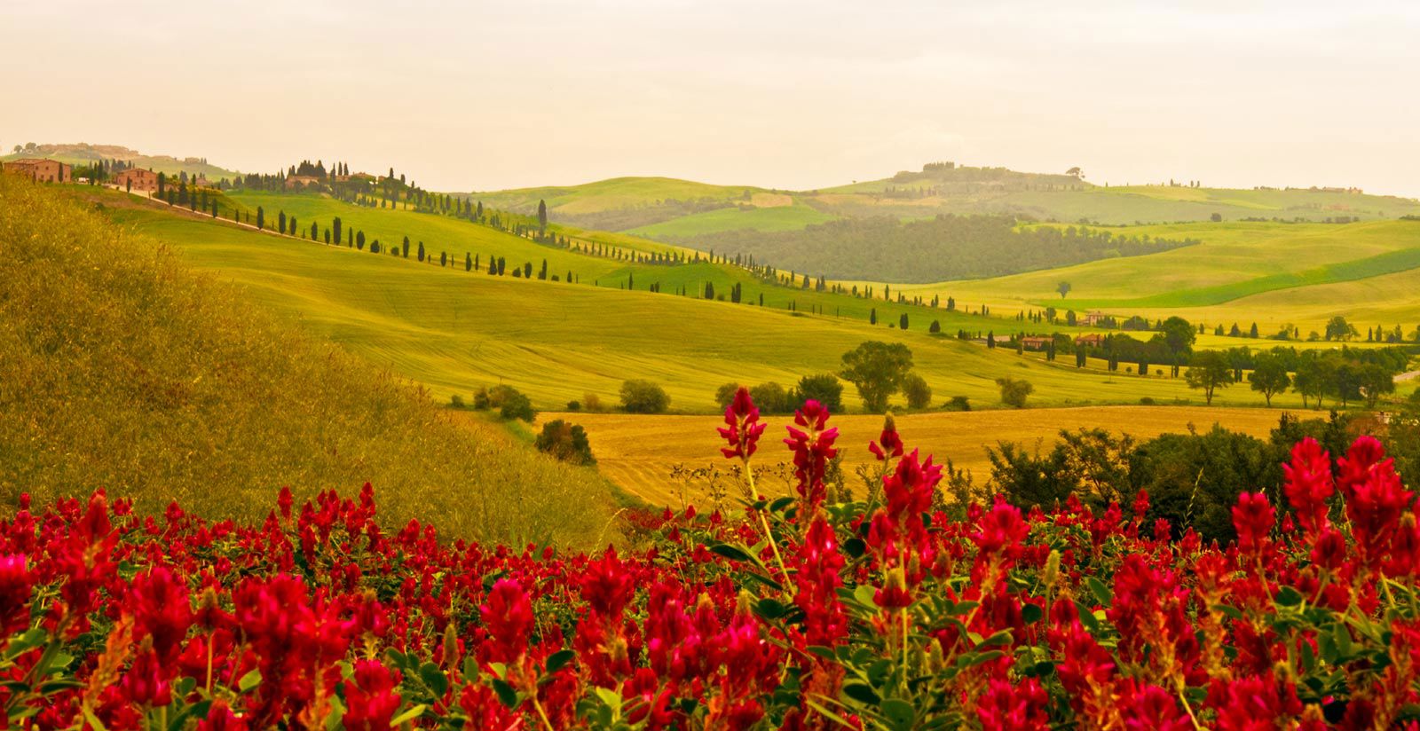 Tuscany and surroundings 4