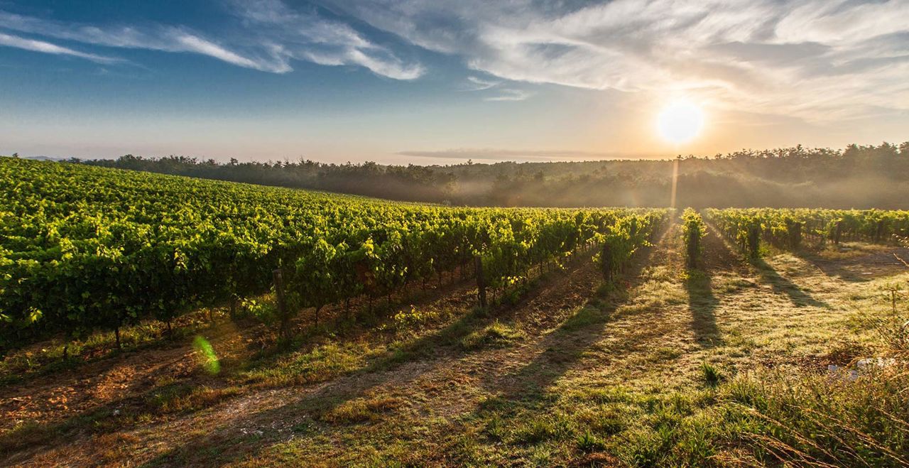 Discover the Route du Bonheur of Borgo Dei Conti Resort in Umbria