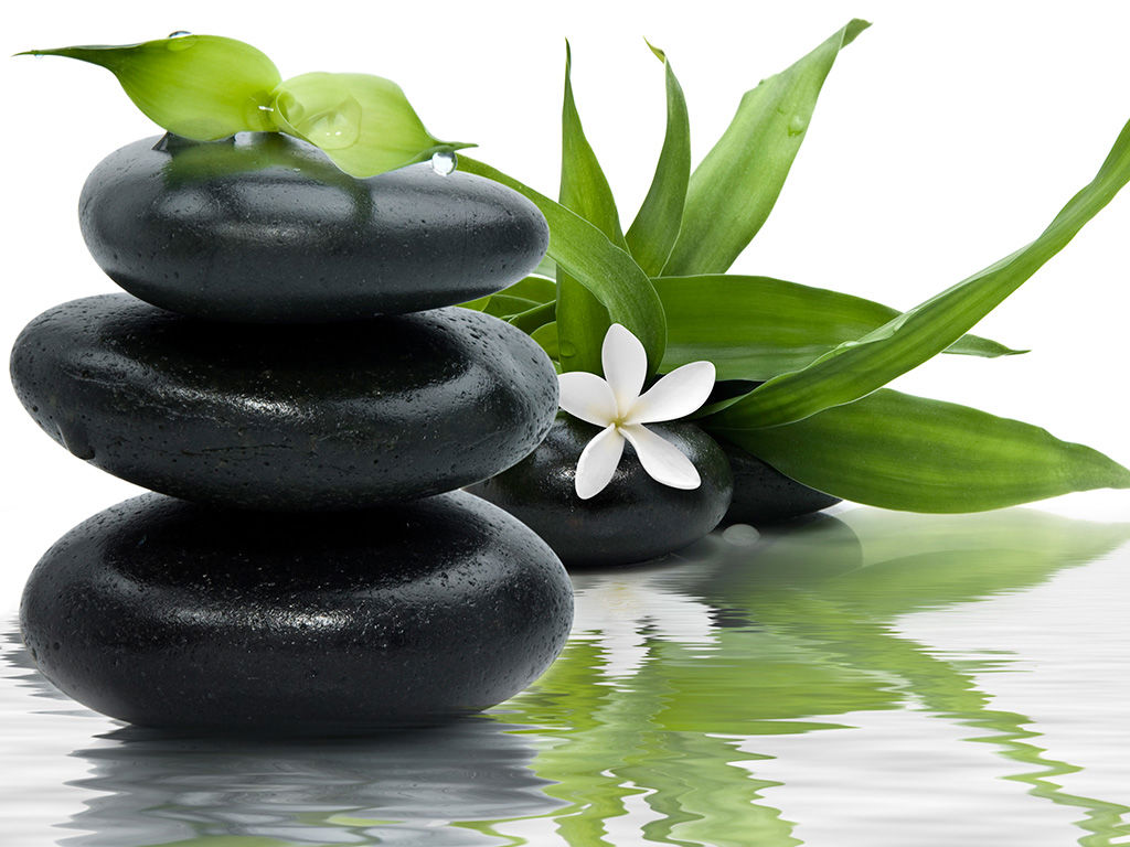 Life SPA & Zona Relax 16