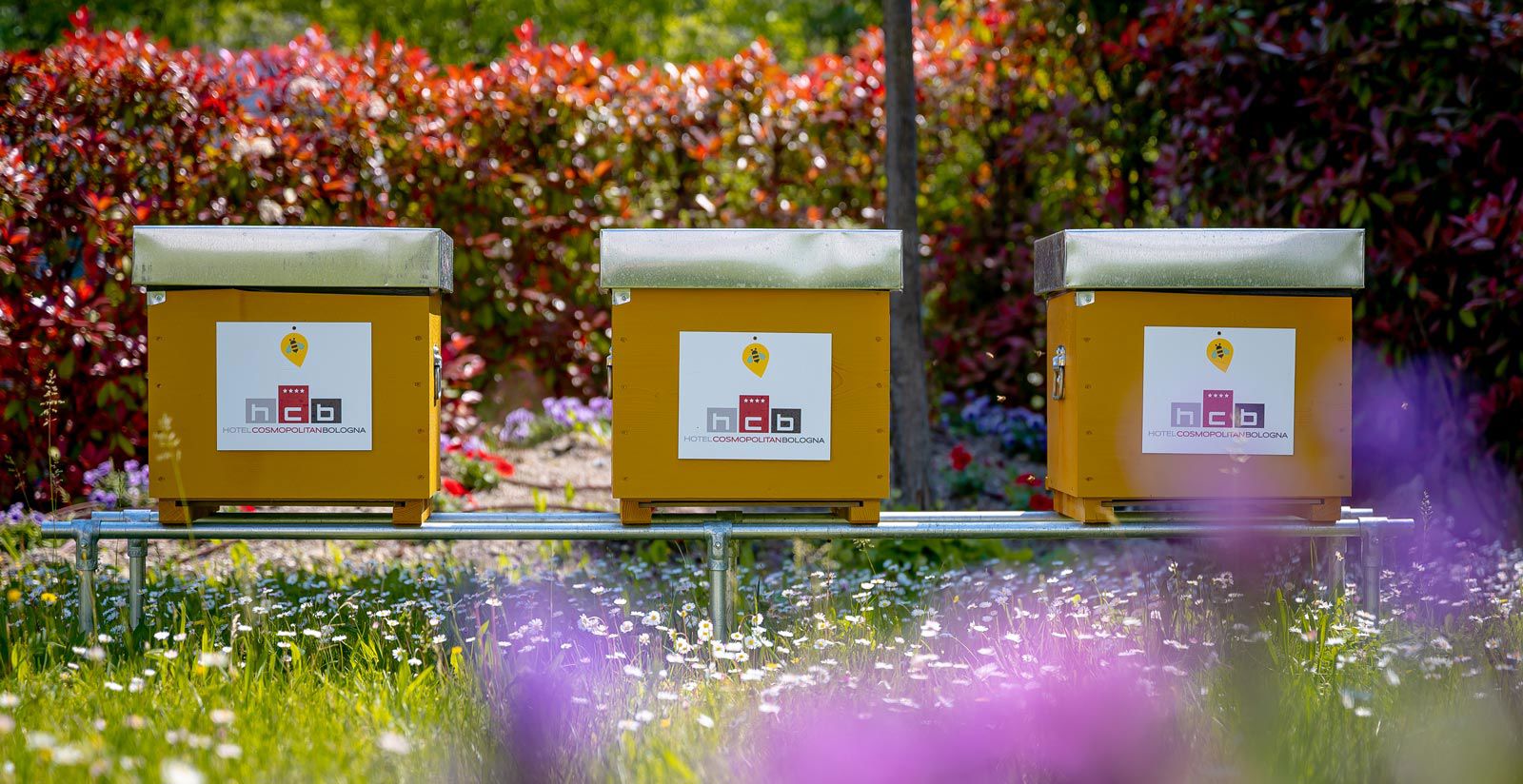 3 beehives in hotel 23