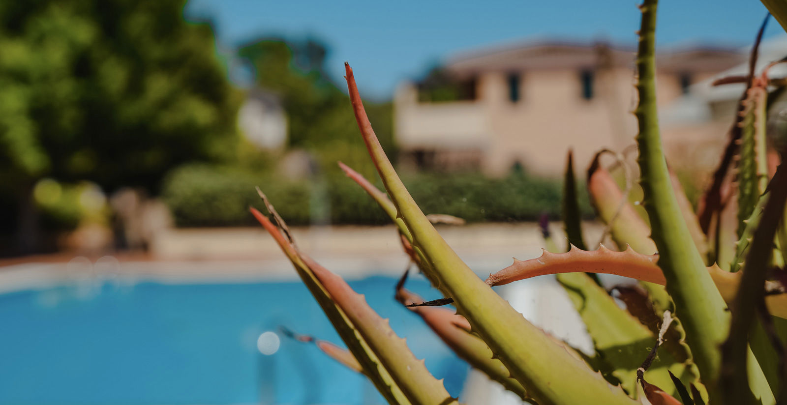 Two-room apartment 6