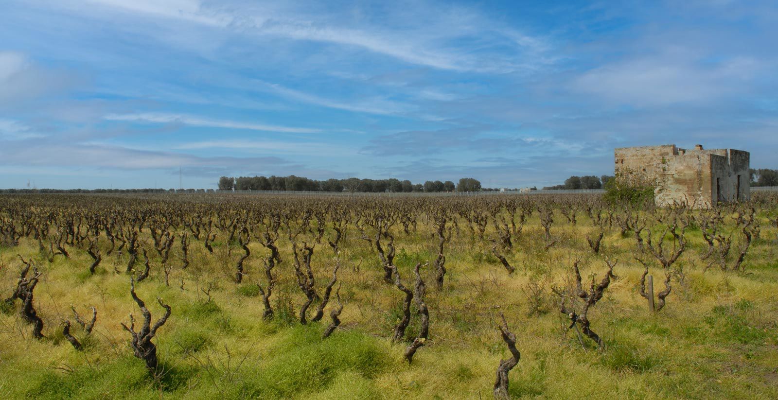 Le Cantine del Salento 3