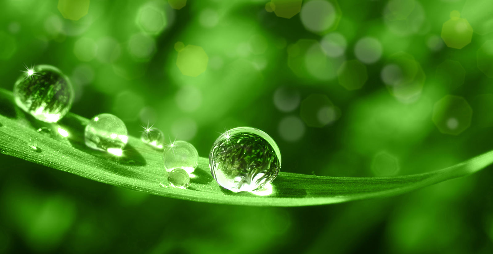 Protezione dell'ambiente 2
