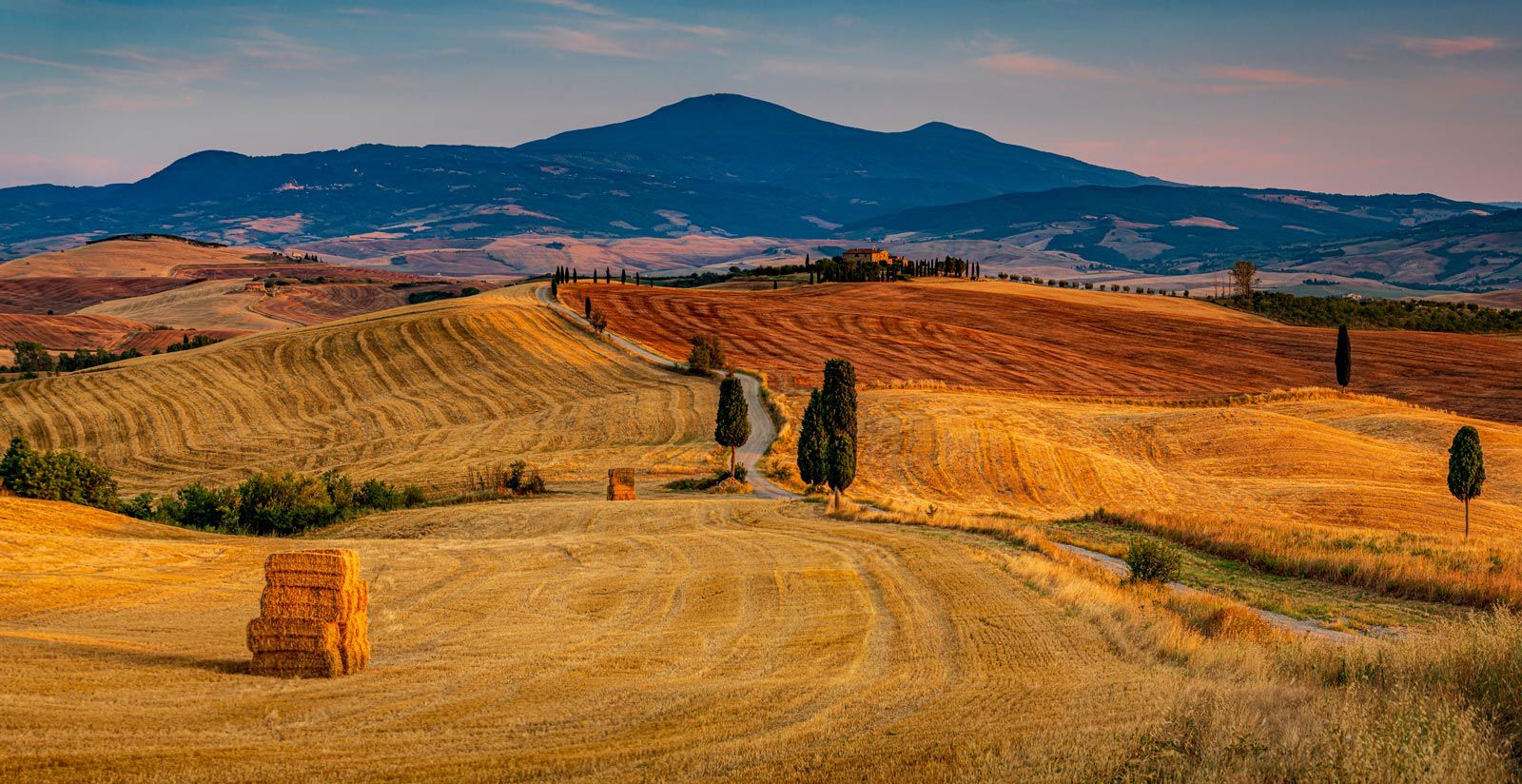 IL GRANDE GIGANTE GENTILE - Cinema sotto le stelle Crete Senesi