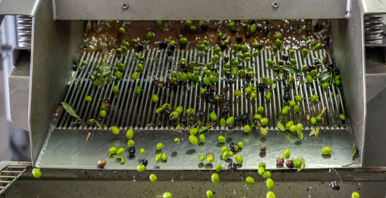 Vecchio Borgo di Inalbi - Oil mill 5