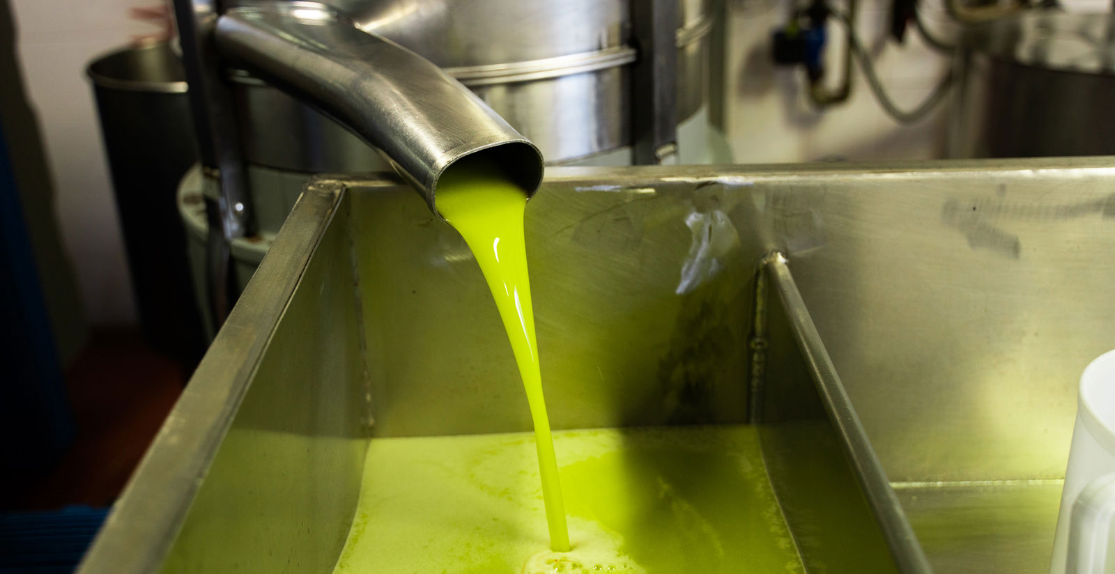 Vecchio Borgo di Inalbi - Oil mill 6