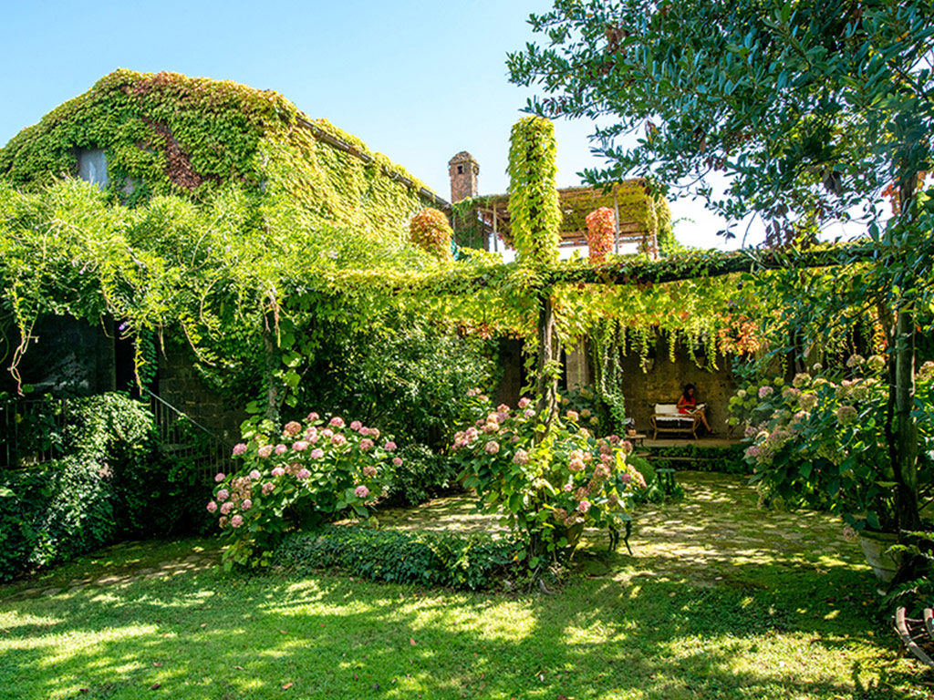 Benvenuto Collection Media