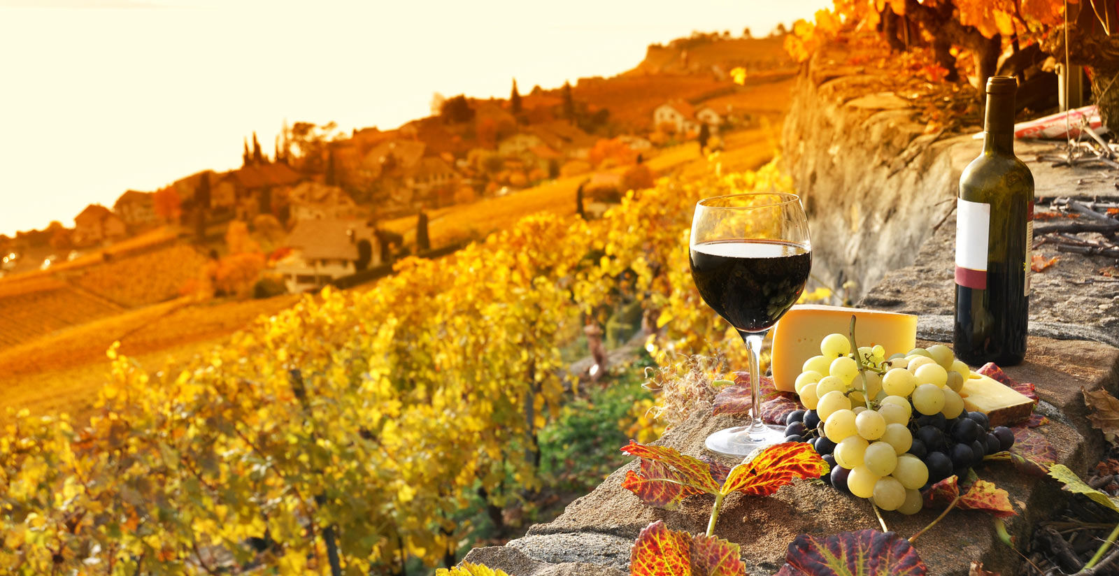 Lasciati inebriare dal Vino Toscano 4