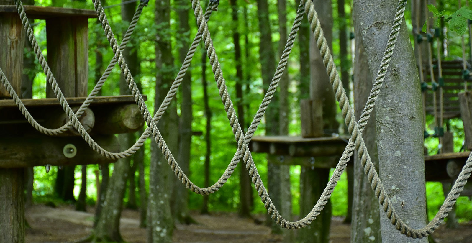 Tasso Scatenato Playground 1