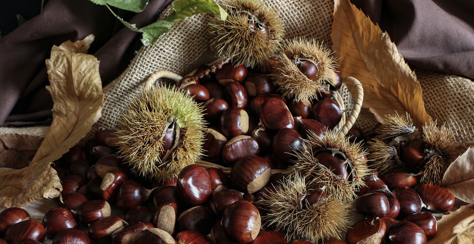 A Month of Chestnuts in Combai (4 km from Follina) 1