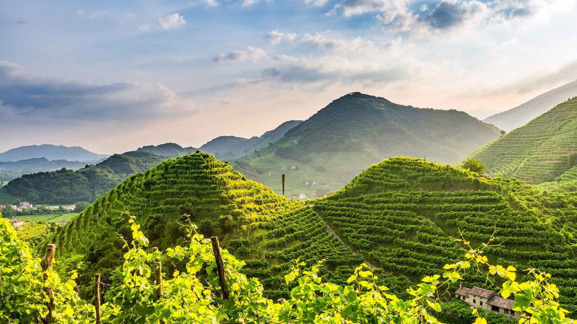 Primavera del Prosecco 1